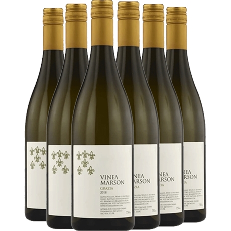 Vinea Marson Grazia 2016 - 6 Pack